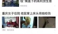 看看新闻有爆料费吗,内部爆料是否有报酬之谜
