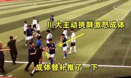 成都体育学院爆料视频最新,揭秘校园内幕，真相令人震惊