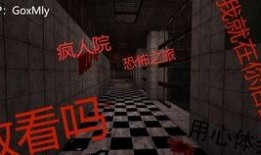 恐怖疯人院在线观看,惊悚揭秘，在线惊悚之旅