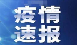 沈阳大连爆料事件最新消息,真相逐步浮出水面