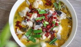 央视爆料酸菜鱼视频下载,揭秘网络食品安全隐患