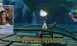 枫丹角色爆料合集视频,揭秘神秘角色背后的故事与魅力