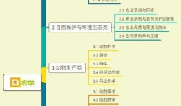 龙华厨师爆料视频大全集,独家爆料视频大全集深度解析