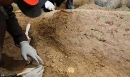 紫砂爆料新闻报道内容是什么,揭秘行业内幕，探寻紫砂艺术真谛