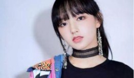 关于程潇最新爆料的文章,揭秘明星背后的故事与挑战