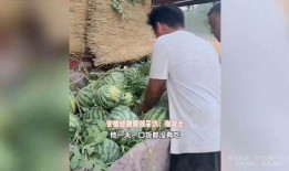 礼县网红吃瓜事件视频播放,视频播放引发网友热议