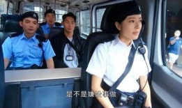 警匪在线观看,在线追捕，正义对决