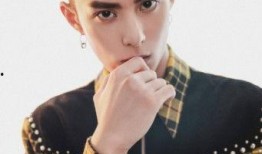 王鹤隶最新爆料,揭秘娱乐圈幕后真相