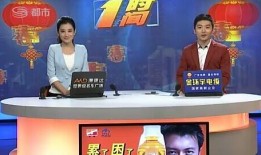 辽宁卫视重播在线观看,辽宁卫视重播节目在线观看指南