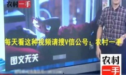 《通宵在线观看,沉浸式体验，尽享夜幕下的光影世界