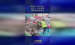 酱油龙头员工爆料视频,揭秘行业黑幕与内部真相