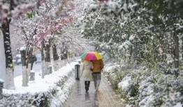 昆明爆料下雪事件视频播放,网友视频记录冬日美景