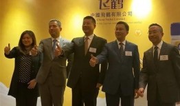 飞鹤最新爆料,揭秘行业背后惊人真相