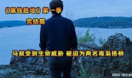 黑钱胜地在线观看,在线观看解锁金融犯罪世界的惊心动魄