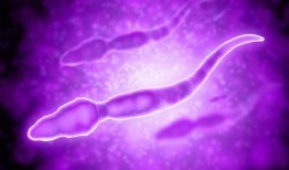 巨大精子在线观看,揭秘巨大精子在线观看之旅