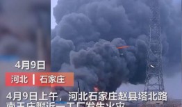隔壁五彩石爆料视频,揭秘神秘视频背后的惊人真相