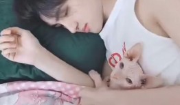 圈内人爆料韩安冉,网红界的风云人物，揭秘她的成名之路