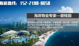 广东湛江最新爆料图,城市风貌焕然一新