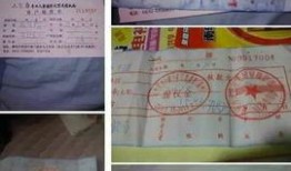 滕州小编最新爆料,揭秘滕州小编独家内幕