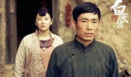 白鹿原电视剧在线观看,穿越历史的长河，探寻家族兴衰之谜