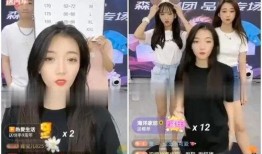 冰姐爆料全过程视频,揭秘事件真相与幕后黑幕