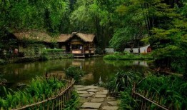 爱草堂视频在线观看,视频在线观看带你领略自然养生之道