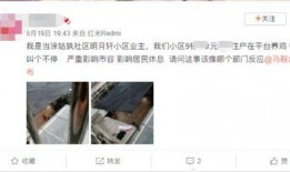 爆料养鸡套路视频播放下载,视频播放下载背后的真相曝光