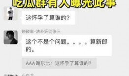 免费吃瓜爆料聊天记录群,聊天记录中的热点事件与幕后真相
