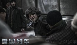 雪国列车电影在线观看,末世列车上的生存与救赎之旅
