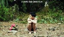 我11电影在线观看