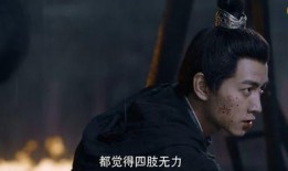 陈晓小说爆料大全最新,揭秘幕后故事与创作灵感