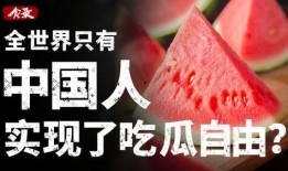娱乐吃瓜酱财富自由,揭秘财富自由的秘密之路